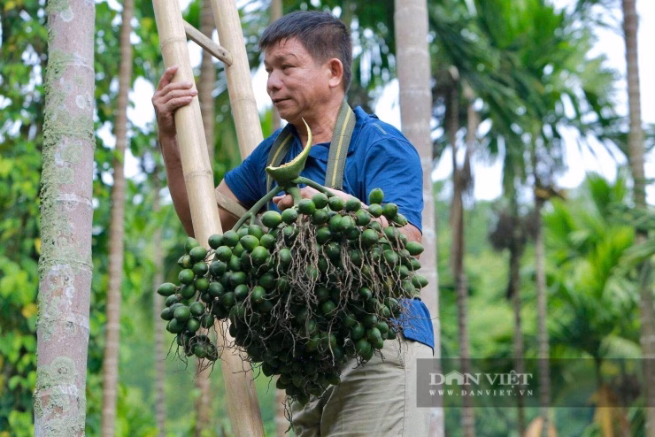 Mô hình nông nghiệp bền vững giúp tạo công ăn việc làm ổn định cho người dân trong vùng.