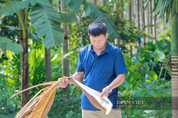 Mo cau được thu gom sạch sẽ, trở thành sản phẩm có giá trị kinh tế thay vì bị vứt bỏ.