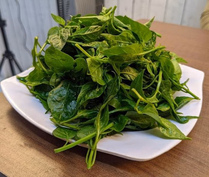 Hãy chọn những búp lá non nhất để món ăn mềm và thơm ngon.