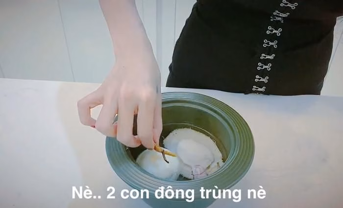 Đông trùng hạ thảo là nguyên liệu đắt đỏ, đóng vai trò quan trọng trong các món ăn bổ dưỡng.
