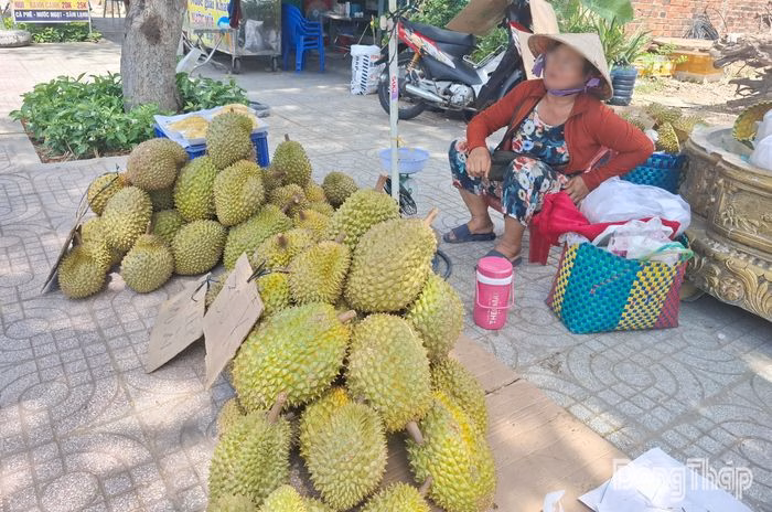 Nhiều điểm bán sầu riêng chín cây giá rẻ mọc lên, nhưng đa số là hàng không đạt chuẩn xuất khẩu.