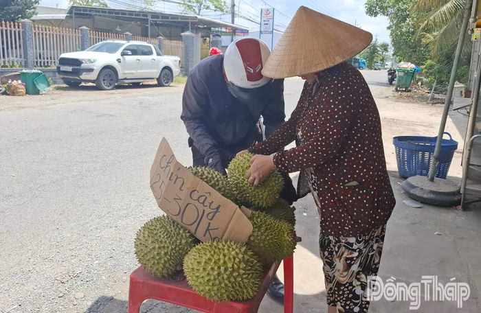 Sầu riêng Ri 6 loại dạt được bán với giá từ 25.000 - 30.000 đồng/kg do không đủ tiêu chuẩn xuất khẩu.