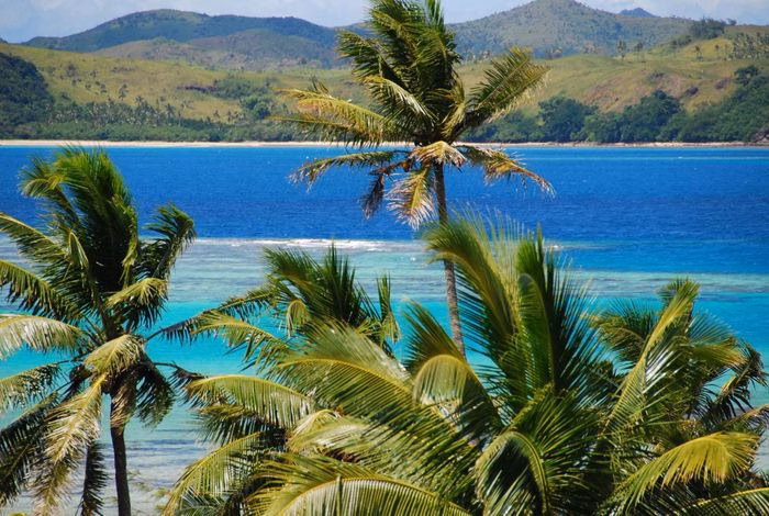 Dù là thiên đường du lịch, Fiji vẫn đang phải đối mặt với sự mất cân bằng sinh thái nghiêm trọng.